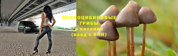 PSILOCYBIN Бронницы