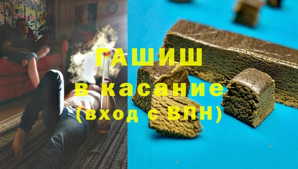 индика Бородино