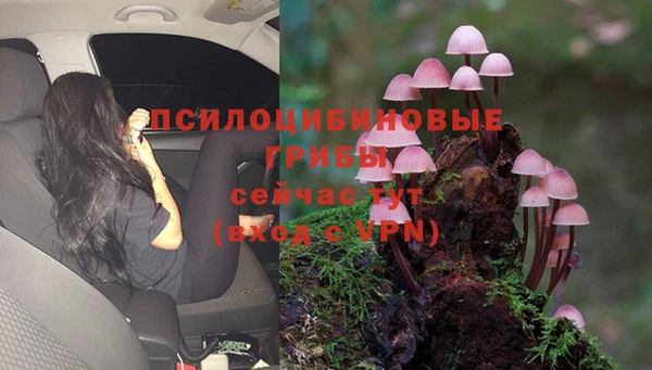 первитин Навашино