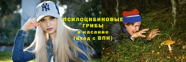 ешки Надым