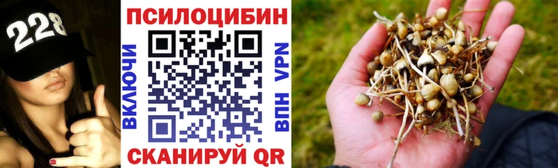 Псилоцибиновые грибы MAGIC MUSHROOMS  закладка  Палласовка 