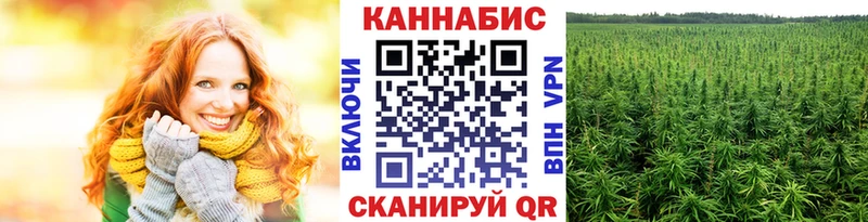 даркнет Telegram  Палласовка  Бошки Шишки планчик 